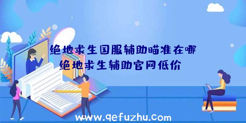 「绝地求生国服辅助瞄准在哪」|绝地求生辅助官网低价gm